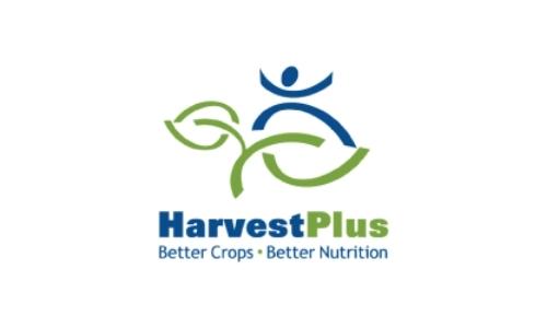Brand Logo Images